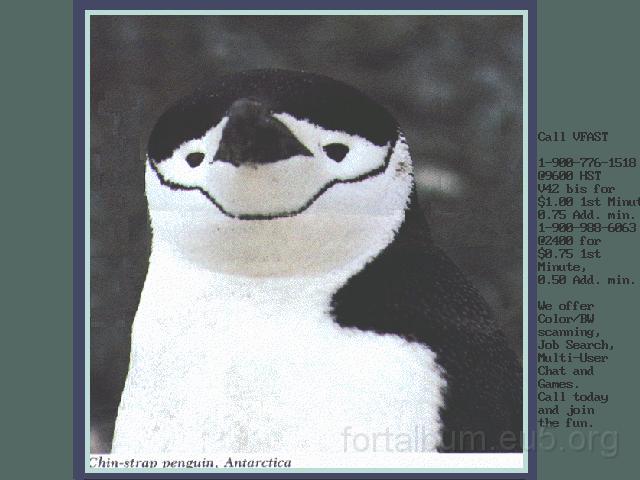 allatok_213.jpg