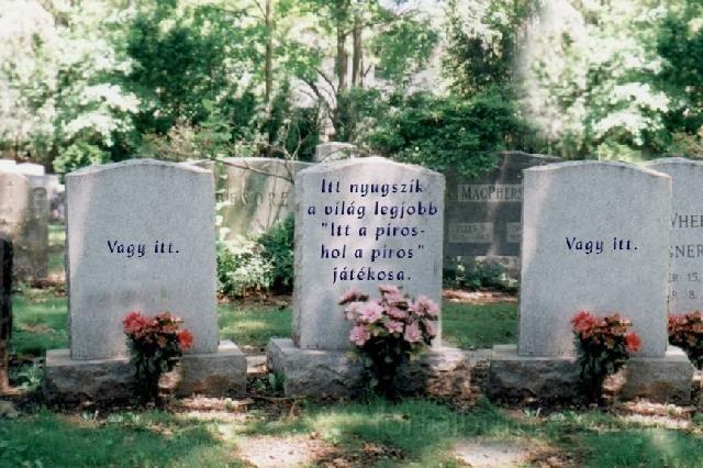 vicces_281.jpg